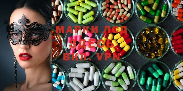 mdpv Новодвинск