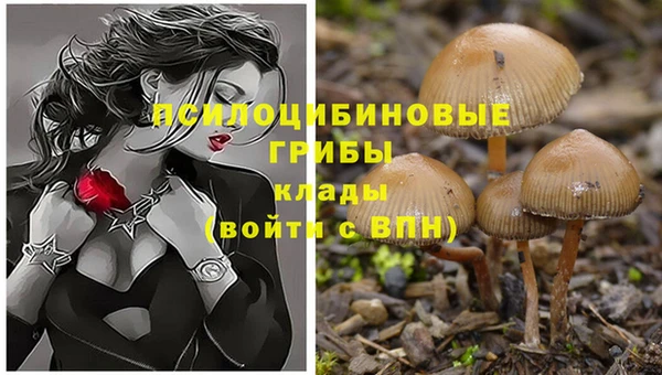 mdpv Новодвинск