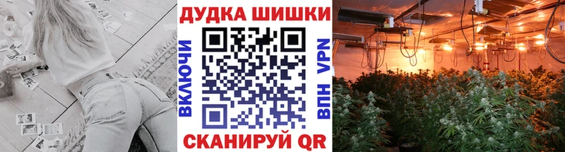 Каннабис семена Петров Вал